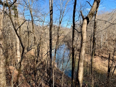 Escape to nature on this stunning 5.02-acre property! - image 36