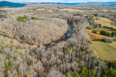 Escape to nature on this stunning 5.02-acre property! - image 14