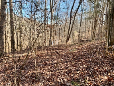 Escape to nature on this stunning 5.02-acre property! - image 39