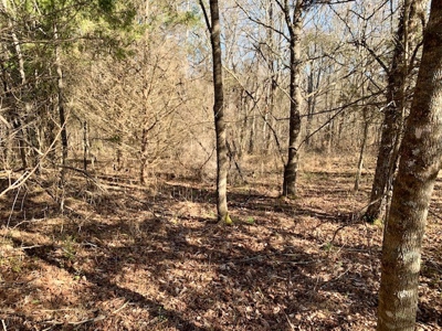 Escape to nature on this stunning 5.02-acre property! - image 43