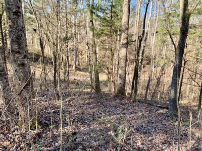 Escape to nature on this stunning 5.02-acre property! - image 22