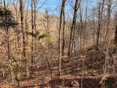 Escape to nature on this stunning 5.02-acre property! - image 28