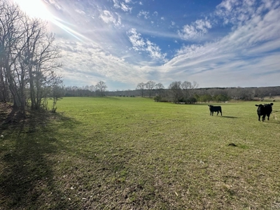 Pastureland for Sale in Kentwood, LA - image 5