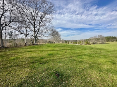 Pastureland for Sale in Kentwood, LA - image 17