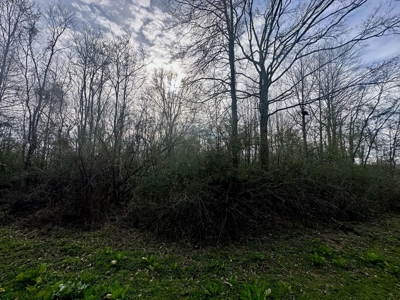 Pastureland for Sale in Kentwood, LA - image 15