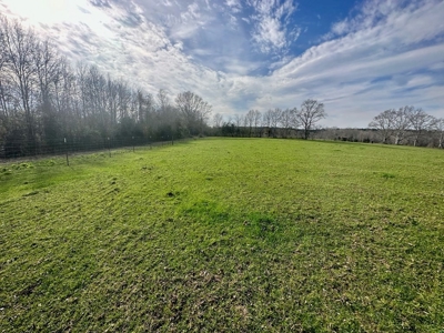 Pastureland for Sale in Kentwood, LA - image 10