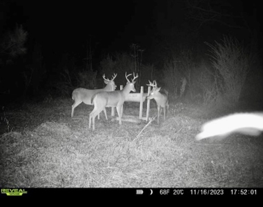 Pastureland for Sale in Kentwood, LA - image 25