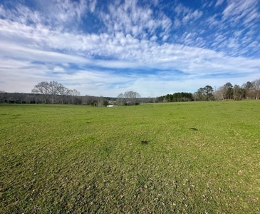 Pastureland for Sale in Kentwood, LA - image 11