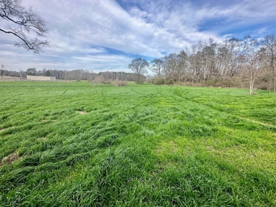 Pastureland for Sale in Kentwood, LA - image 19