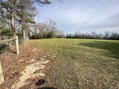 Pastureland for Sale in Kentwood, LA - image 3
