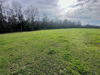 Pastureland for Sale in Kentwood, LA - image 9