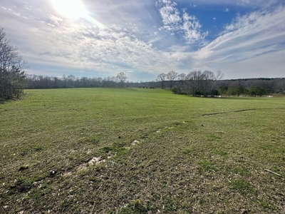 Pastureland for Sale in Kentwood, LA - image 8