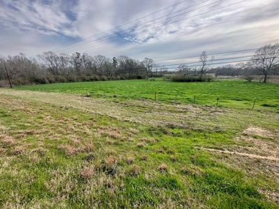 Pastureland for Sale in Kentwood, LA - image 22