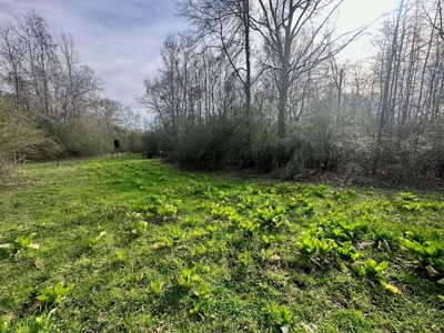 Pastureland for Sale in Kentwood, LA - image 14
