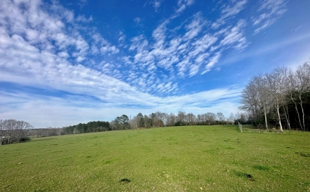 Pastureland for Sale in Kentwood, LA - image 12