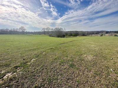 Pastureland for Sale in Kentwood, LA - image 1