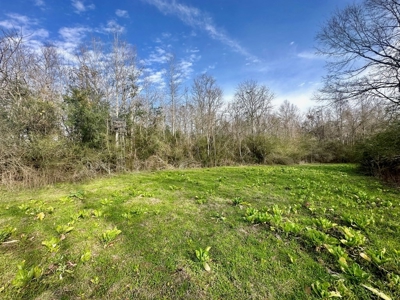 Pastureland for Sale in Kentwood, LA - image 13