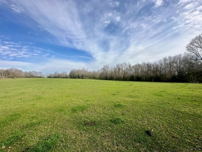 Pastureland for Sale in Kentwood, LA - image 18
