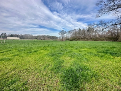 Pastureland for Sale in Kentwood, LA - image 21