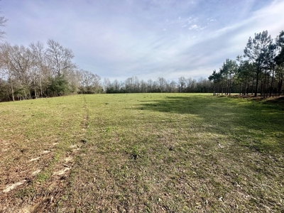 Pastureland for Sale in Kentwood, LA - image 6