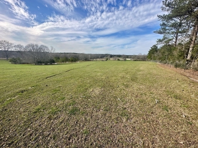Pastureland for Sale in Kentwood, LA - image 7