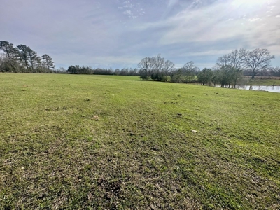 Pastureland for Sale in Kentwood, LA - image 4