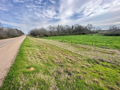 Pastureland for Sale in Kentwood, LA - image 23
