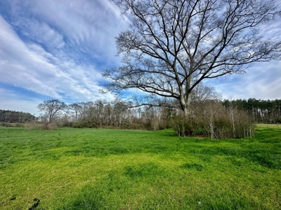 Pastureland for Sale in Kentwood, LA - image 20