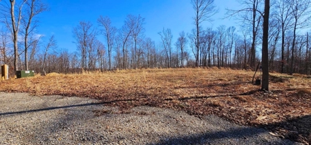 48 acres Prime Hunting with scenic Building Site Peebles OH - image 10