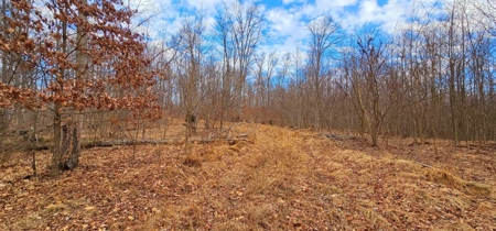48 acres Prime Hunting with scenic Building Site Peebles OH - image 7