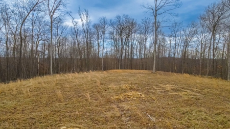 48 acres Prime Hunting with scenic Building Site Peebles OH - image 34