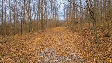 48 acres Prime Hunting with scenic Building Site Peebles OH - image 36