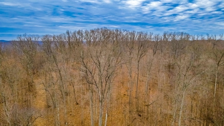 48 acres Prime Hunting with scenic Building Site Peebles OH - image 38