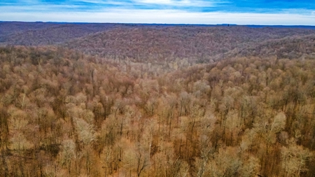 48 acres Prime Hunting with scenic Building Site Peebles OH - image 37