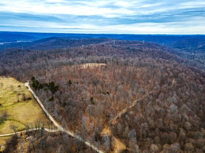 48 acres Prime Hunting with scenic Building Site Peebles OH - image 24