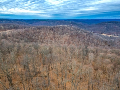 48 acres Prime Hunting with scenic Building Site Peebles OH - image 27