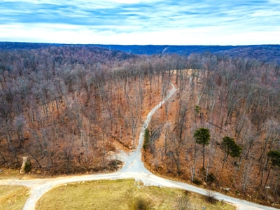 48 acres Prime Hunting with scenic Building Site Peebles OH - image 21