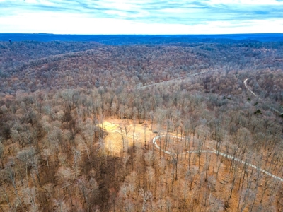 48 acres Prime Hunting with scenic Building Site Peebles OH - image 25