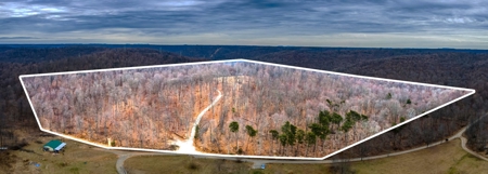 48 acres Prime Hunting with scenic Building Site Peebles OH - image 22