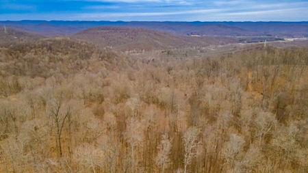 48 acres Prime Hunting with scenic Building Site Peebles OH - image 4