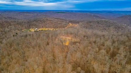 48 acres Prime Hunting with scenic Building Site Peebles OH - image 2
