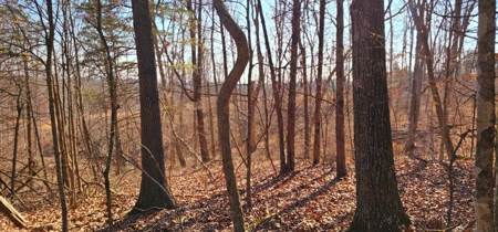48 acres Prime Hunting with scenic Building Site Peebles OH - image 5