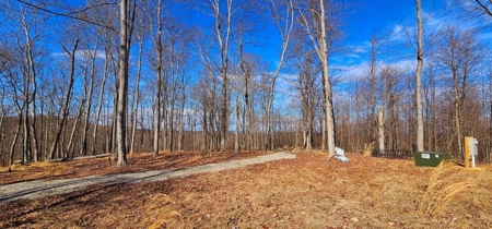 48 acres Prime Hunting with scenic Building Site Peebles OH - image 12