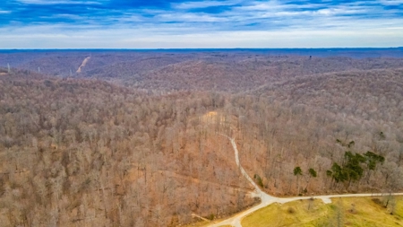 48 acres Prime Hunting with scenic Building Site Peebles OH - image 1