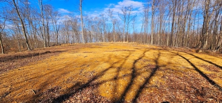 48 acres Prime Hunting with scenic Building Site Peebles OH - image 6