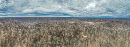 48 acres Prime Hunting with scenic Building Site Peebles OH - image 29