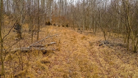 48 acres Prime Hunting with scenic Building Site Peebles OH - image 39
