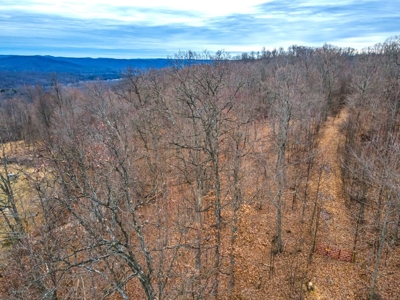 48 acres Prime Hunting with scenic Building Site Peebles OH - image 20