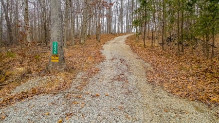 48 acres Prime Hunting with scenic Building Site Peebles OH - image 40