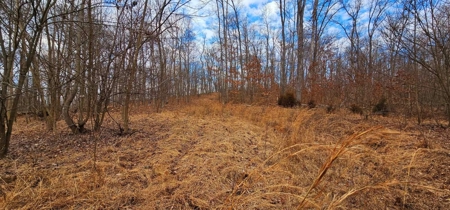 48 acres Prime Hunting with scenic Building Site Peebles OH - image 9